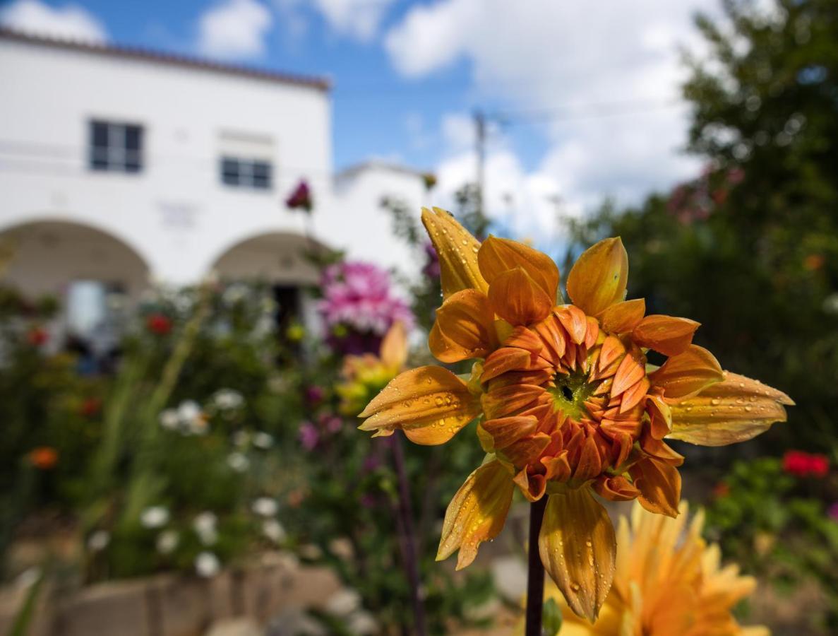 Residencia Quinta Do Poço